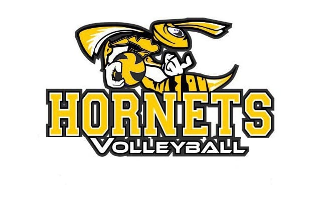 volleyball logo