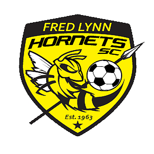 soccer logo